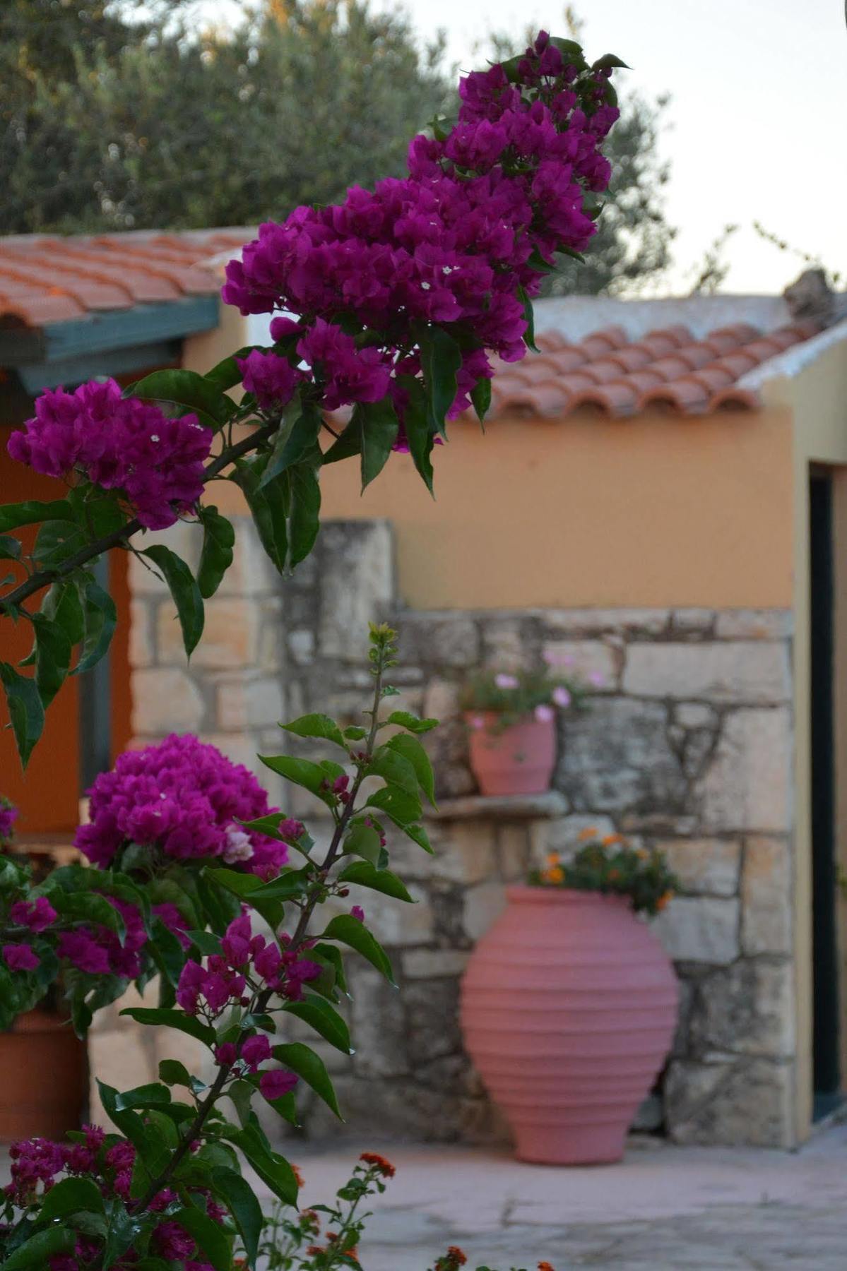 Villa Galini Episkopi  Bagian luar foto